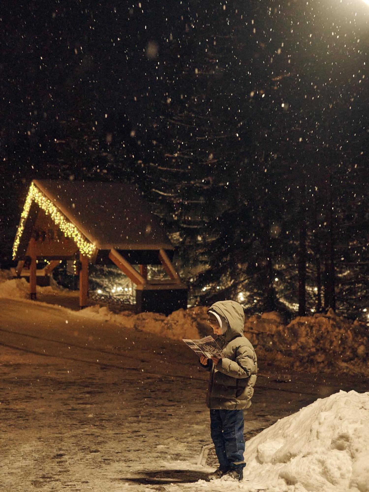 Chalet Skogur - & Bukovel