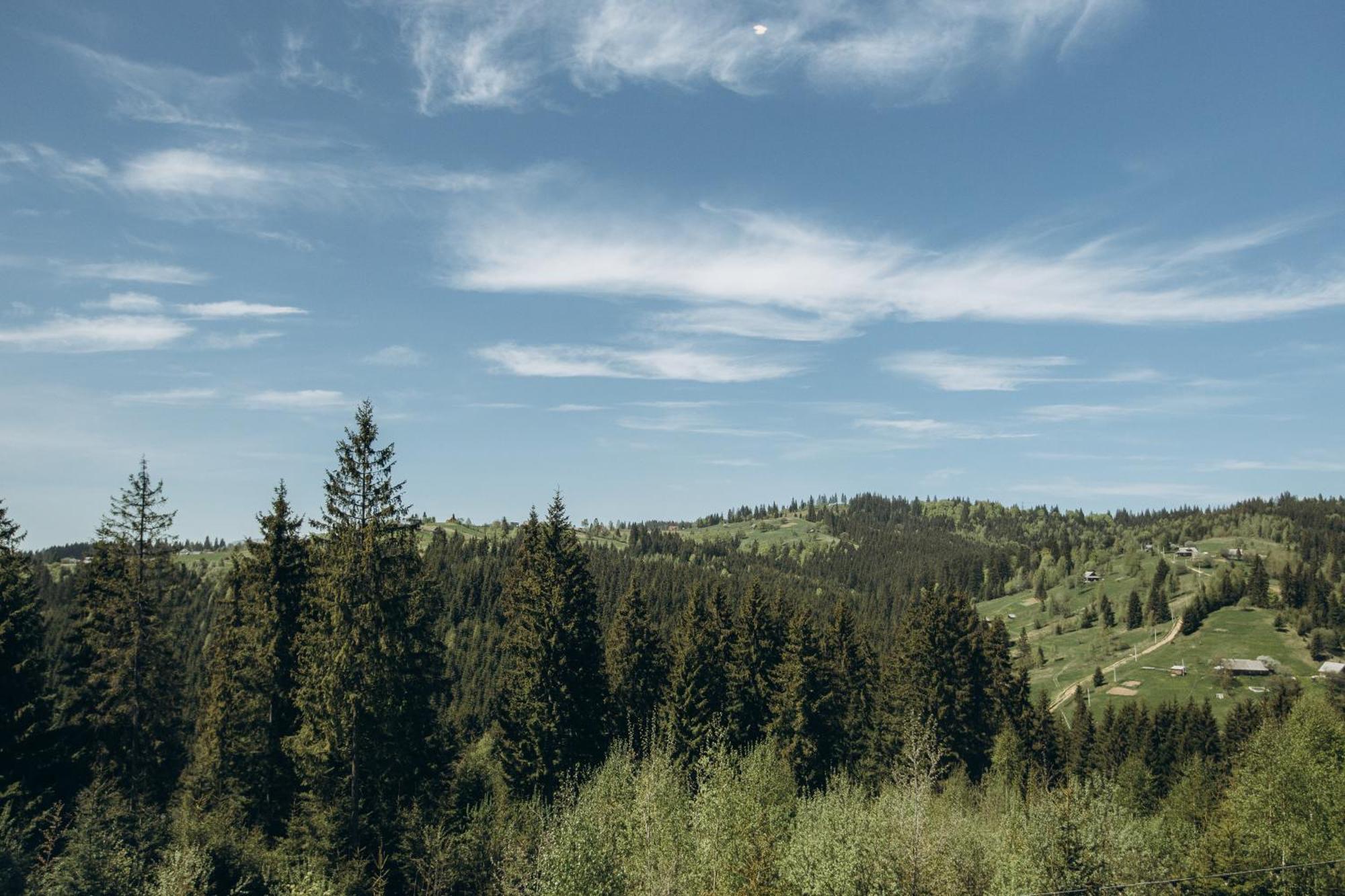 Skogur - &